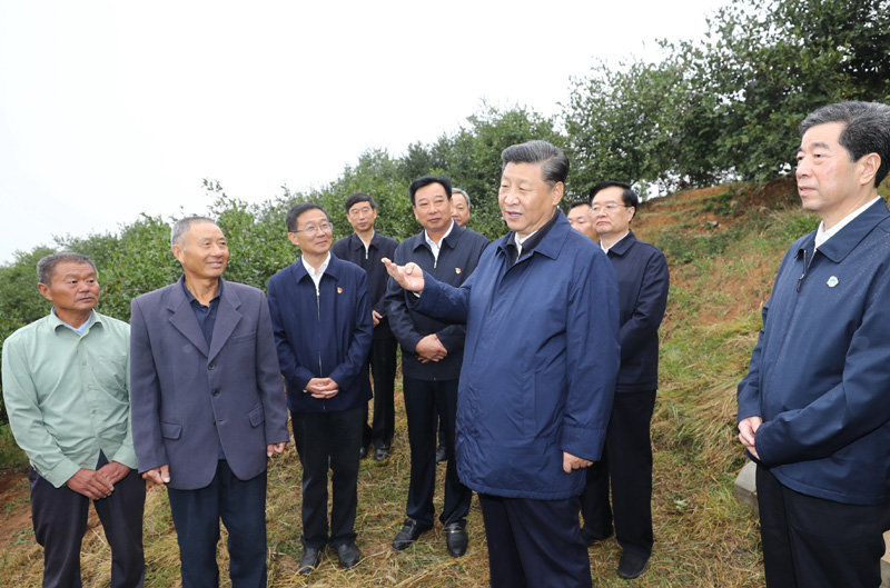 　　9月16日至18日，中共中央總書記、國(guó)家主席、中央軍委主席習近平在(zài)河南考察。這(zhè)是(shì)17日上(shàng)午，習近平來(lái)到(dào)信陽市光山縣槐店鄉司馬光油茶園，同正在(zài)勞作的(de)村民和(hé / huò)管理人(rén)員交流。 新華社記者 鞠鵬 攝