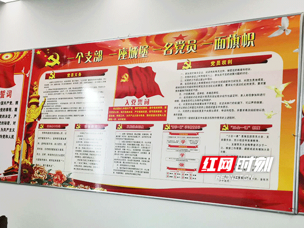 金陽投資